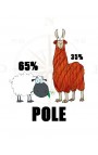 Pole by Fonty