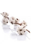 COTON