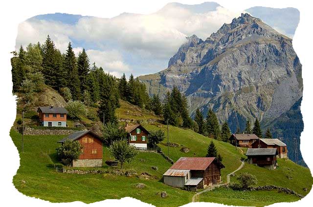 commander de la laine en suisse